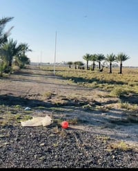 يتوفر دوانم طابو زراعي سند 25 الموقع بغداد أبوغريب منطيقه السميلات بمس...