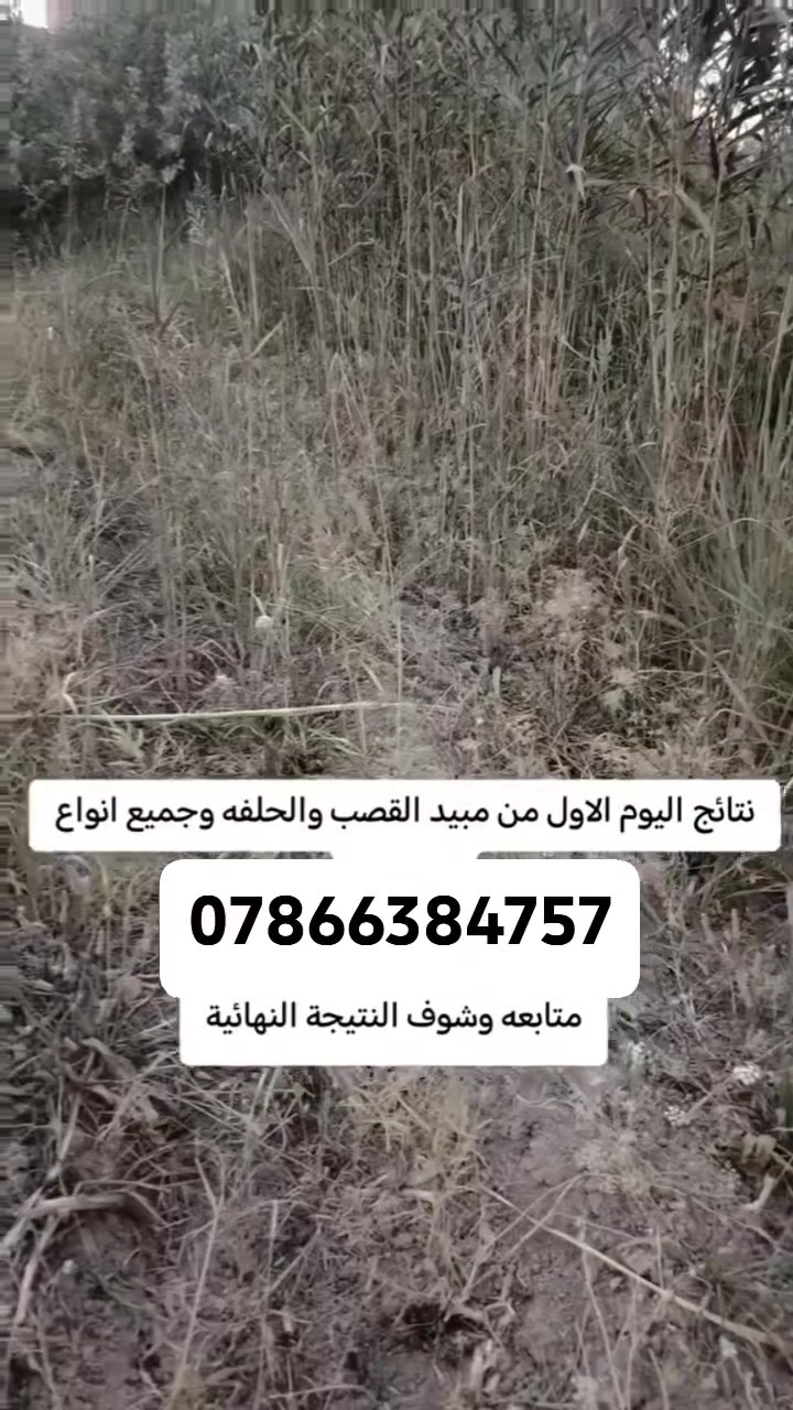 سلام عليكم ورحمة الله وبركاته  يوجد مبيد ادغال الحلفه والكصب تخلص منه نهائيا البستان مع ترتيب احواظ النخيل وايظا مككافحتها من الحميره 
اتصال على الرقم ***********
