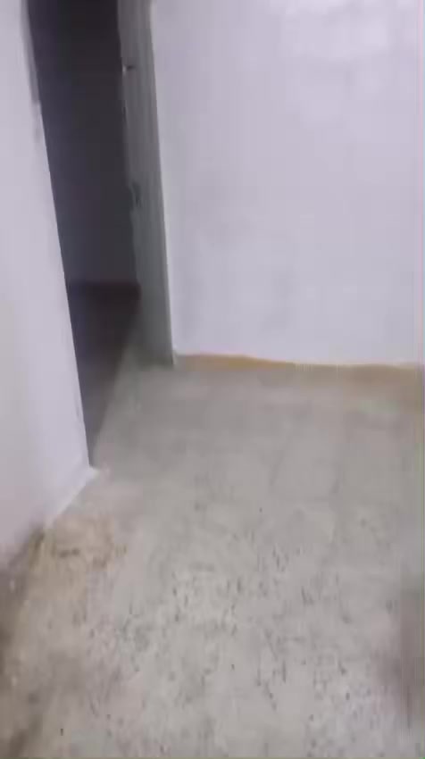 السلام عليكم 
 موجود شقه للإيجار مكانها الشقق البيض قرب عضومي شقه مرتبه طابق ثاني . ممر دخول ومطبخ وصاله و غرفتين وحمام وتواليت وبلكونه   ايجارها 200 الف . الي يريدها يتصل عل رقم***********
ملاحظه الشقه تتئجر فقط لعائلة .
