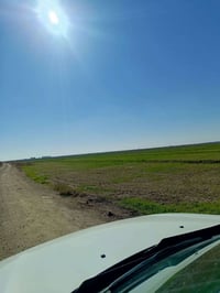 الصقلاوية الزغاريت • ١٥ دونم • طابو زراعي