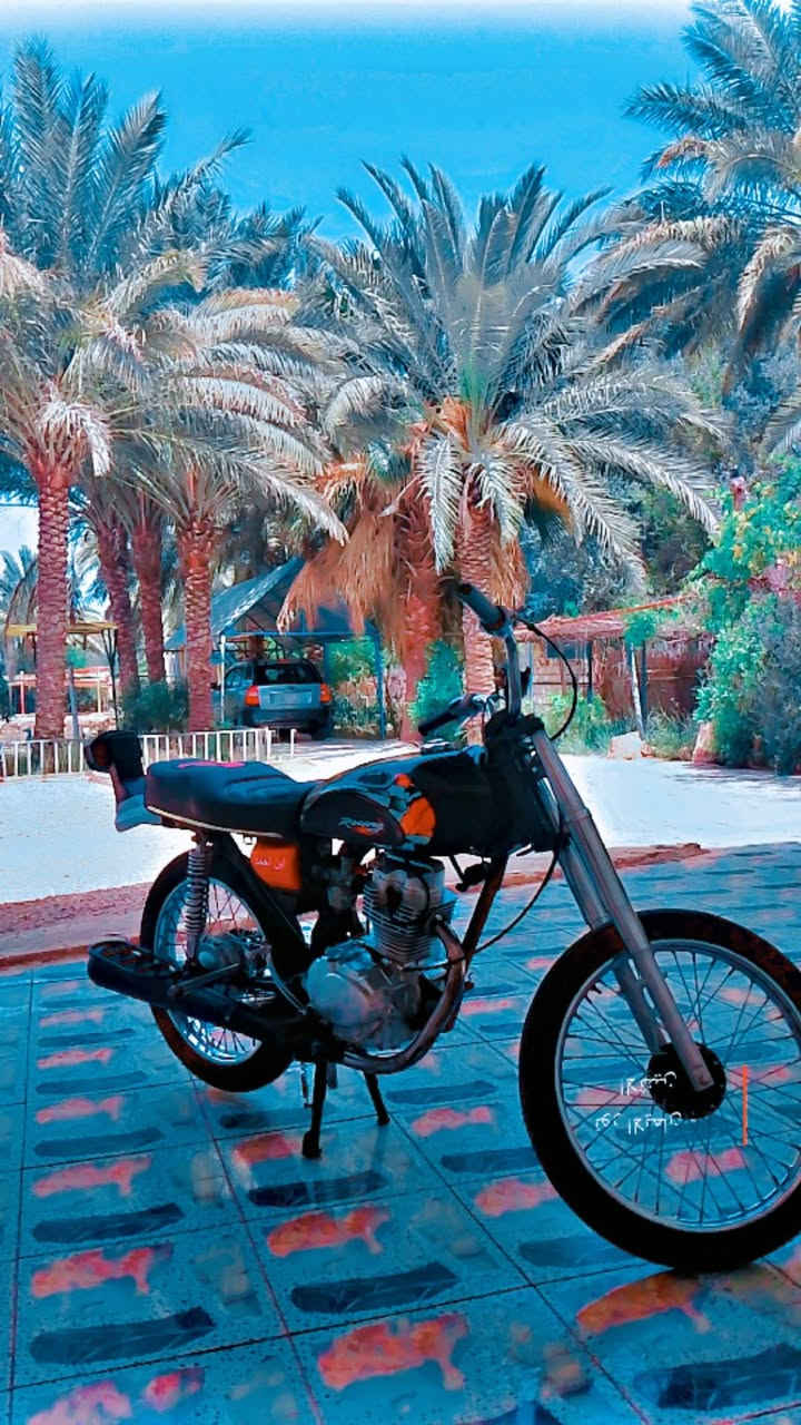 نامه تعمير كله جديد من جعب للراس اوراق سكنر سعره 750وبيه ماجل حك الجيه ولشراي يشلع عيوني خاص موجود وهاذه رقمي ***********
