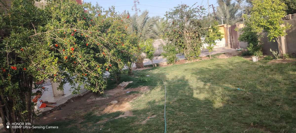 السلام عليكم بيوت عدد اثنين
مع مشتمل للبيع في حي رشيد قريب علئ مستشفئ الامام علي (ع) 
المساحه الكليه 1400 متر  مساحه البنيان 870 متر  مساحه الفارغه 530 الخدمات متوفره 
اساله كهرباء مولد تبليط مدرسه قريبه
موقعه تجاري يصلح محلات مع محطه ماء  مع  غرف عدد اثنين 5_4 مضيف 8_4 مطبخ كله سراميك وسقف ثانوي 4_4 هول 10_4 البيت الثاني نفس الغرف بس مابي مضيف مطبخ خارجي مجمع صحيات وحمام خارجي الاستفسار على هاي الارقام      ***********  ***********
