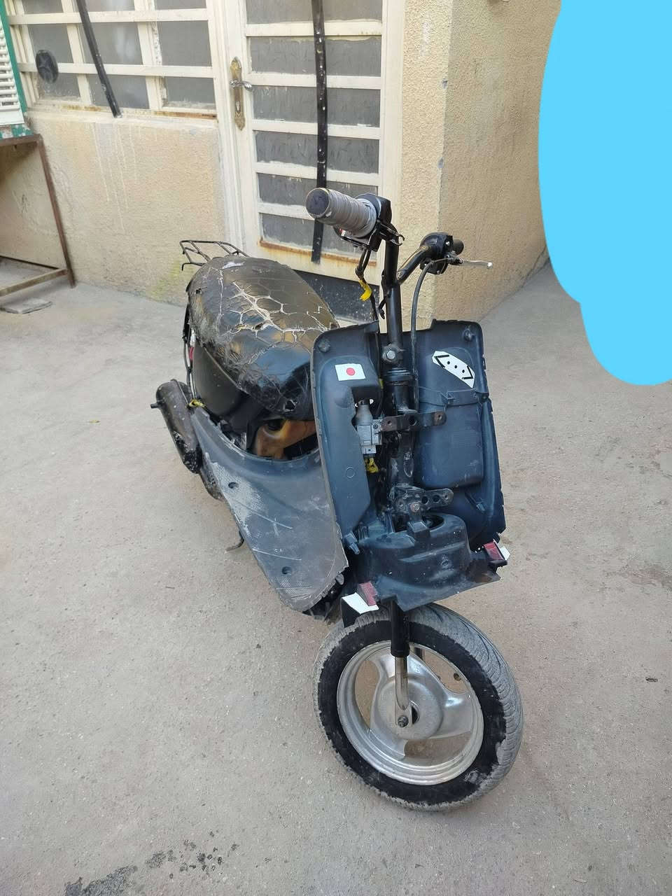 سلام عليكم
دراجه للبيع 60 
شلعه تشك الكاع
معدل شرط 60 
كفراتها كلها موجودات بس عوزه سله كدام
مكاني كربلاء
شراي خاص تعال خاص👍


**إذا كنت صاحب هذا الإعلان وتريد حذفه لأي سبب، رجاءا أرسل رسالة إلى الدعم الفني**