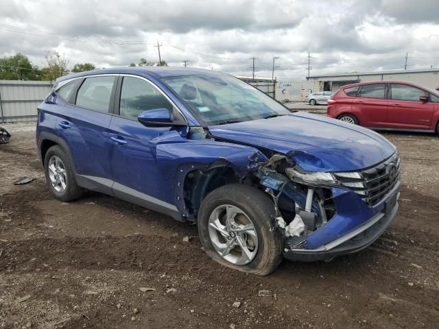 شـــــــــــــــــــركة مـــايباخ 

هيونداي توكسان موديل 2024
واصل للبصره مصلح وجاهز بسعر ب135 قفل 🔐

بأدارة علي عباس الخُزاعي 
وجهتك الأولى لأستيراد وتصدير السيارات
الديوانية . حي الجزائر . شارع البستان
📞 ***********
📞 ***********
