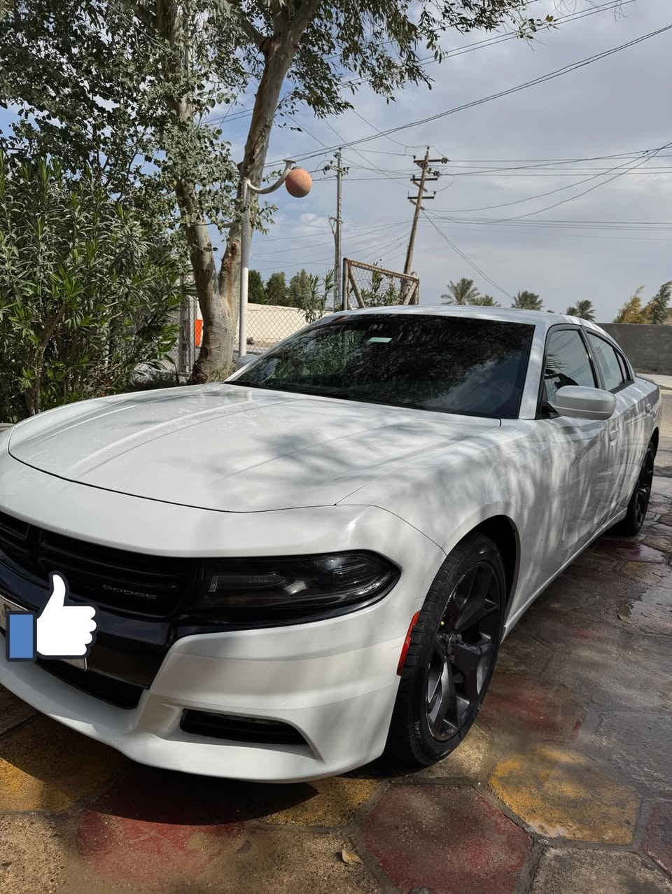 سلام عليكم چارجر كندي  17 فئة رالي سياره مكفوله كفاله عامه بيها كلير فقط لا غير سياره كفاله عامه من فتح وتبديل  سياره كلها وضع شركه حته لسبير وباتري 
مكينه 3600 مواصفات فول

1 فتحة
2 نقطة عمياء
3 سيتم صوت الباين + دمام
4 شاشه جبيره 
5 كشنات حضن
6 كراسي كهرباء
7 ويل 20 بلاد
8 مري تعتيم
9 منضومه زنون بلاد
10 شفتات ستيرن
11 حساسات
12 كامرة
13 تشغيل عن بعد
رقم السياره بصرة دولي الجديد 
بنفس اليوم التحويل 

ماشية 230 كيلو متر ( وليس ميل ) 

للاتصال ***********
