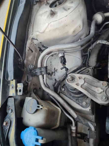 السلام عليكم
انتره  خليجيه 2010 فتحه  كير ومكينه 16دكشن عالي شرط  طخم تاير جديد  طخم  امامي وطخم  خلفي جديد شرط
بيه جاملغ خلفي الي بجيهت النفر  وبيه طخه شويه من كدام شواصي شرط   والتكمه انطخت باب كيه كدامك اموظحه بل الصوره  السعر 85 اكثر تفاصيل اتصال
هيئه وغرامت صفر  بسمي 
***********
