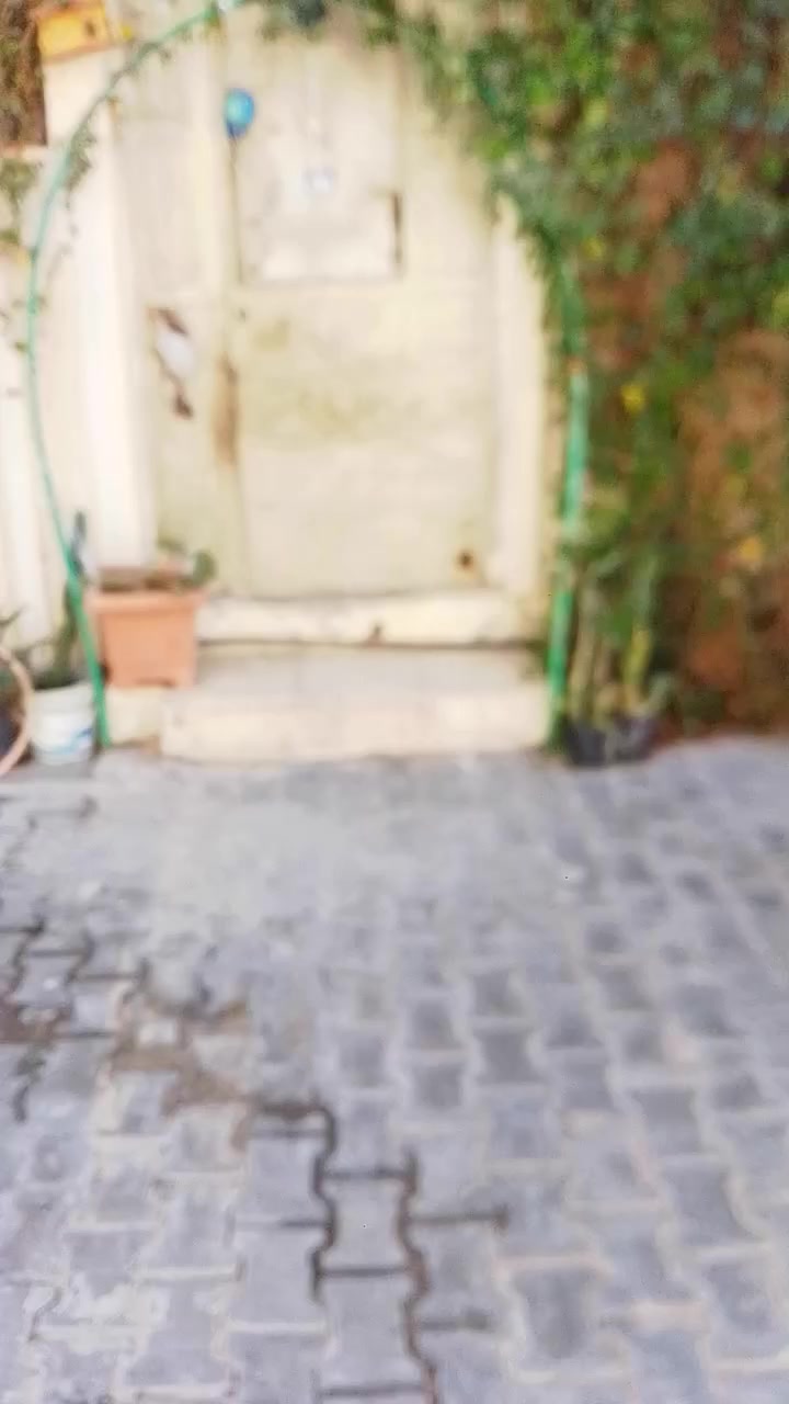 السلام عليكم
بيت زراعي المساحة 50متر  عكادة طابق واحد  شارع 8 قرب أسواق فدك 
استقبال+ مطبخ+ غرفة نوم 
السعر 60 مليون وقابل للتفاوض 
الاستفسار ***********
