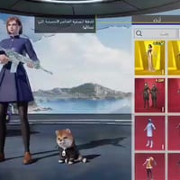 حساب ببجي • ٣ بدلات X • ٤٩ سلاح