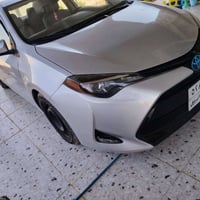 كورله • ٢٠١٧ • رقم أربيل