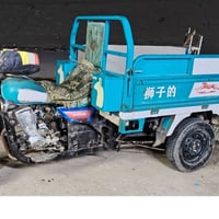 ستوته جمره فحل مديل 2021   محرك جديد 2026  مكفوله كفاله عامه شرط تخم ت...