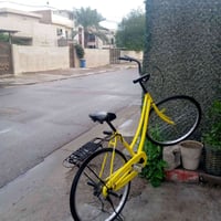 بسكليت • البيّاع