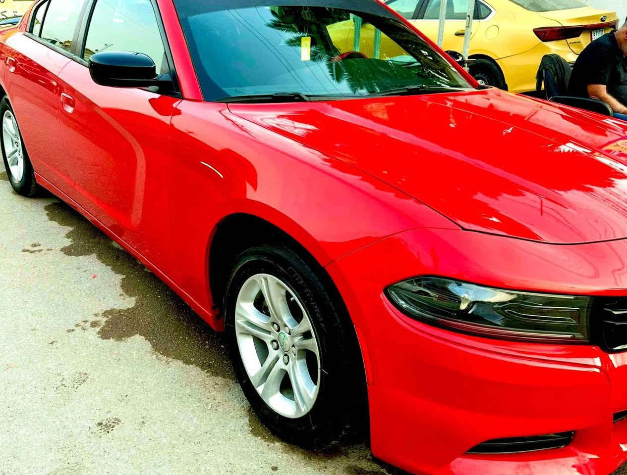 .


**إذا كنت صاحب هذا الإعلان وتريد حذفه لأي سبب، رجاءا أرسل رسالة إلى الدعم الفني**