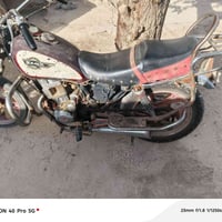 جونده • تجفيت • شغاله