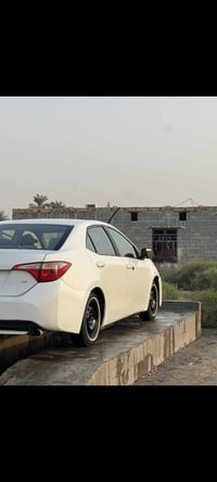 كورلا • ٢٠١٥ • ذي قار