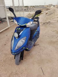 مراوس • كبير • مكفولة