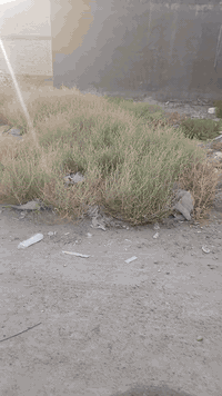 قطعه للبيع مجمع العدل الأول ٥٠متر تنازل استفسار ٠٧٧٧٣٢٣٧٥٧٣ ٠٧٥١٦١٤٤٣٧...