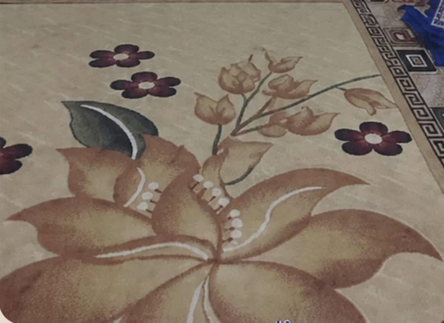 مرحبا للبيع مستعجل تنور اخو الجديد استخدام قليل مع كامل ملحقاته للبيع وزوليه قياس ٣في٤ مكاني النجف شراي تفضل خاص


**إذا كنت صاحب هذا الإعلان وتريد حذفه لأي سبب، رجاءا أرسل رسالة إلى الدعم الفني**