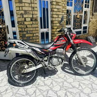 كاوسكي • دراجة ربع • علي الشرقي