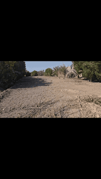 أرض زراعية (من 900 - 1000 متر) قرب منطقة ام حكروص مسافة ١كيلو متر عن مدرسة بلال الحبشي وتبعد عن جسر المالح 4كم مسافة ٧ دقائق
السعر 15 
للأستفسار ***********
