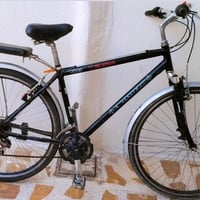 بالە ئو ربی /حجم 28 /دبل / 10نمرە / قلب نضیف٪٩٠ / 07508604708