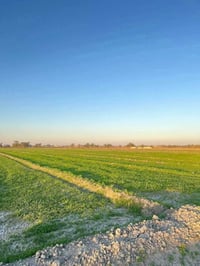 🔥 _4 دوانم صرف_ بسعر الدونم 22 وبي مجال 🔥 - 💧 ماء أسالة - 💡 كهرباء - 🛣...