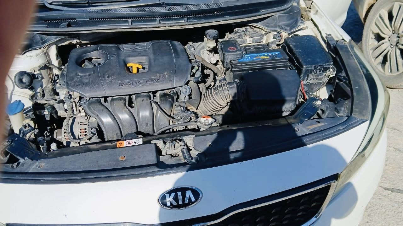 سلام عليكم لبيع او مراوس كيا فورتي 2018 لون ابيض رقم بغداد باسمنه وارد امريكي (( بيه جاملغ مبدل جهت اليمنه وربع الباب صبغ و نص البنيد صبغ )) مكينه 2000 دوش مكينه كير حداديه تبريد خير من الله وأجاهزه من جميع النواحي وسياره تحتوي عله ملاحظات بسيطه كشخوط بسيطه لأن سياره جانت عند مره وشويه مشخطتها  وجاهزه من جميع النواحي  
مكان بابل المسيب 
للاستفسار ‭0771 443 4246
