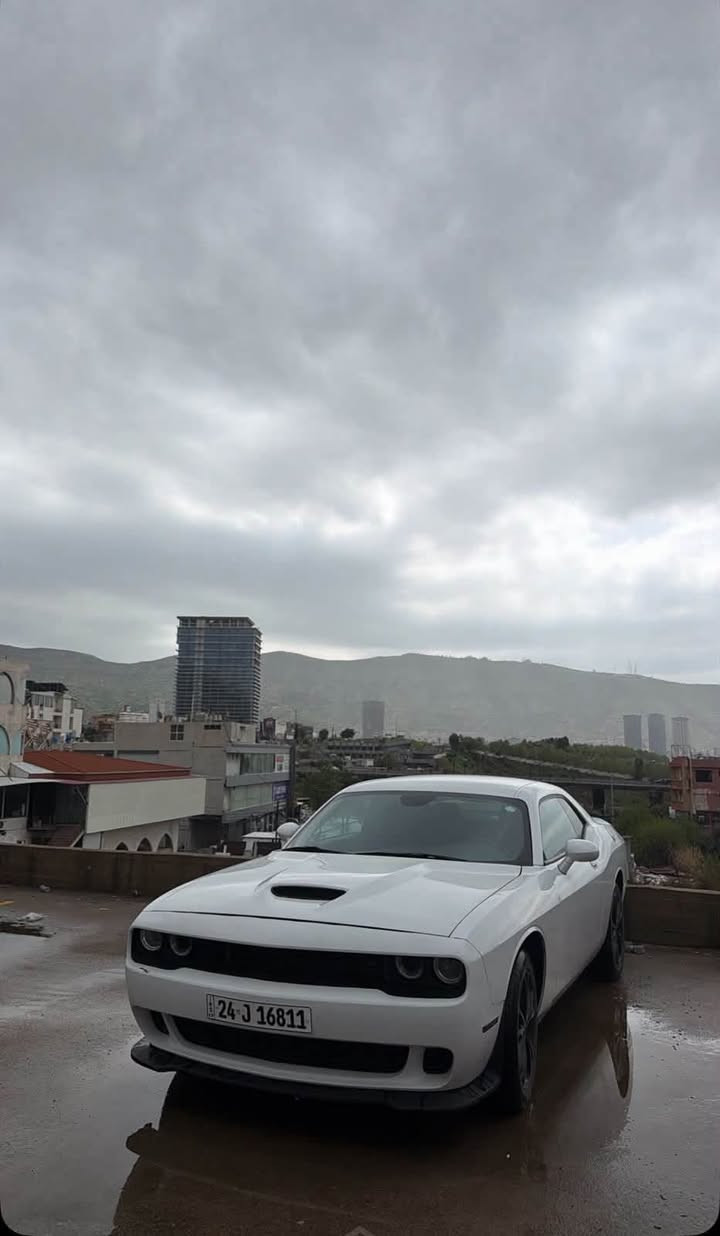 دوج جارچر 2021 فور ويل 🔥
ارخص سعر بكل العراق 159 $ ورقه و مجال 

السيارة گير محرك بشرط ما مفتوح و بدون اي نواقص
السيارة 70 الف ماشية فقط 
المواصفات SXT شاشة كبير و مواصفات معروف دبل اكسن 

- محرك ٦ سلندر بدون اي نواقص و بدون مصرف
- بدون صرف و نفخ و صوت بدون اي نواقص بشرط 
- تخم تايرات جديد ، تخم ويل جديد ، تخم امامي جديد
- تخم خلفي جديد ، دواخل سيارة جديد ، السيارة مال بيت 

- السيارة ضرر ١ قطع صبخ جملوخ امامي 
- بدون دواخل و بدون شواصي بشرط ايرباك ستيرن سيستم 
- رقم سنوي جديد رقم دهوك تحويل بشرط سيارة بسمي 
- السيارة ( فور ويل ) گير بشرط ، محرك بشرط 

- مكان السيارة : دهوك 
- الهاتف : ***********


**إذا كنت صاحب هذا الإعلان وتريد حذفه لأي سبب، رجاءا أرسل رسالة إلى الدعم الفني**
