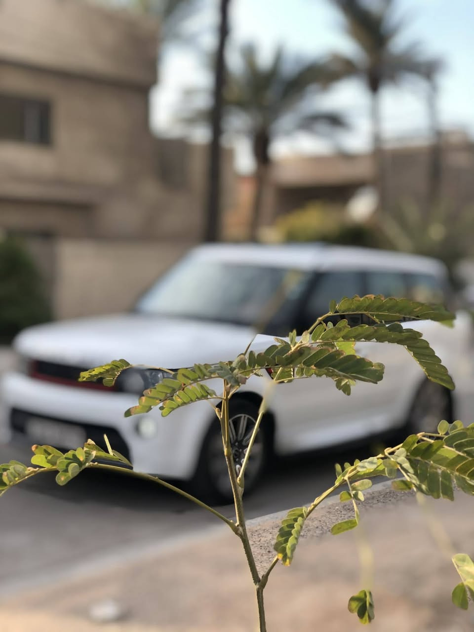 ...﷽ ...
‏🇬🇧  Range Rover Sport  🇬🇧

شركه سردار ضمان دولي اوتو بايكراف

السياره جداا مميزه بل مواصفات 

موديل 2012  

🚀 ٨  سلندر سوپر چارج بنزین 🚀

🛑داخل قیسی  فقط يجي بالاوتو 

جديد بدون اي حادث وصبغ

والسياره فول الفول اعلى مواصفات الرانج بيها

🛑 3شاشه ديفيدي 

🛑 جكات ٣ وضعيات 

🛑رادار جانبي بل مرايات 

🛑 نظام صوت ميرديان (خرافي )🎧🎧

🛑 كامره جانبيه وخلفيه  +5بصمات ابواب 

🛑فتحه سلايد 

🛑رادار

🛑ستيرن اوتو

🛑وبعد بيها هواي مواصفات تخبل 

 اخوان السياره كفاله عامه  من ناحيه الميكانيك والحداديه والصبغ والضربه 

💯 الكير مع مكينه وكهربايات بشرط 💯

✅ /بلادي

السيارة رقم جديد تريد تحويل أو وكاله حاضر 

💰السعر < 135 > وبيها مجال بسيط

‏🔱 ‎مكان السياره بغداد العامريه

🔻طبعا بـالحقيقة احلى من صور📷
فدوه اخوان غير متواجد على الفيس الي يحب يتواصل الرقم بي واتساب

للاستفسار الرجاء الاتصال على هذا الرقم 

 📞 ( ***********)
