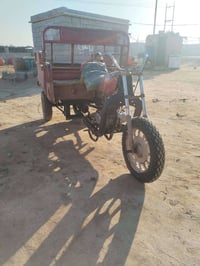 ستوته • نضيفه • عماره العدال