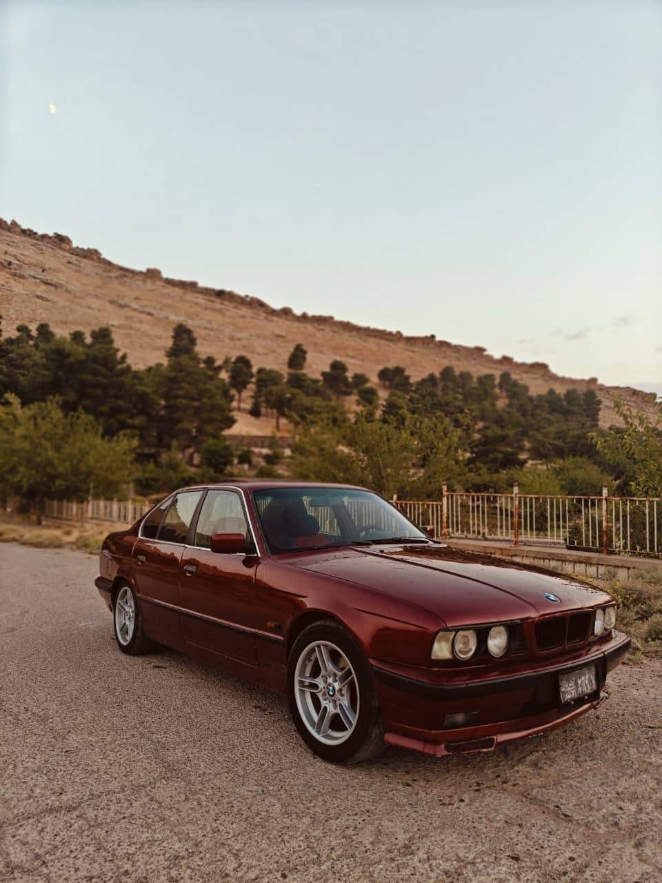 سڵاوی خوای گەورە لە هەموو لایەک

ز.BMW بیئێم فوول فوول بۆ فررۆشتن 
مۆدێل 1993 گێڕ تۆماتیکی ئاڕمم پلاستیکی سلێمانی سعری ٣١گەڵا 
مەکینەی 525ـی تۆماتیکە سڵایتە جام  کارەبایە 
دەعمێکی پێشەوەی هەیە 
ئاڕموو ئەوەلیاتی بەشەرت
کوشن جلدوو هیتەرە بیلادد
  
تەقەو ڕەقەی نییە تایەو ویلی تازەیە  
دەشپوولوو بەرە دەرگای لۆکە 
بێ مەسرەف 
هەموو شتێکی نوسراوە

***********
ڤایبەرو وەتساپی لەسەرە شمشمل, السليمانية
