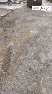 دراجه البيع صايرله 4تيام من معمره مكينه أنامه أوراق اسكنر ***********
