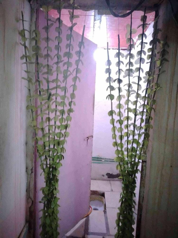 دار للرهن مساحتة ٥٠ متر غرفه صاله مطبخ صحيات شارع المطار القديم قرب أسواق الأمير رهينته ٢ مليونين فقط  سنه وقابل للتجديد @إشارة


**إذا كنت صاحب هذا الإعلان وتريد حذفه لأي سبب، رجاءا أرسل رسالة إلى الدعم الفني**