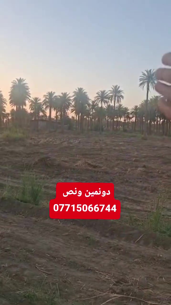 ارض مساحه 2 دونم ونص سند 25 
مكان الأرض كربلاء طوريج الخيرات ام روايه منطقة الساده المعامره لستفسار 
*********** او مراجعة المكتب 
طوريج شارع الحولي مقابيل نزلت حي الظباط
