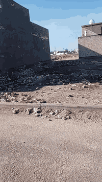 سلام عليكم قطعه للبيع منطه ببوشام مجمع العرين قرب لقوس خدمات كامله ماء كهرباء منطقه ارصفه  جديده لبناء بيها جاي يزيد يوم عن يوم المساحه ١٠٠ واجه ٥ لسعر ١٥ زراعي سند ٢٥ رقم ***********
