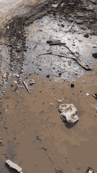 سلام عليكم وصلت وجبه جديده سندويج ابو نحله 🐝 العنوان بابل جبله حي صناعي مجاور معمل ثلج 
***********
***********
