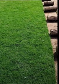 #تخفيضات #تخفيضات (لفترة محدودة) والتوصيل مجاني  ☘ثيل طبيعي نوعية ممتا...