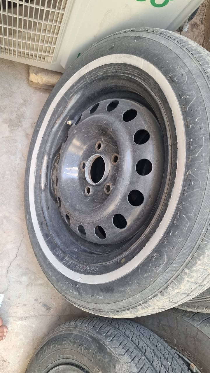 تخم ويل اسود مراوس ويل كب النجف موبايل***********
