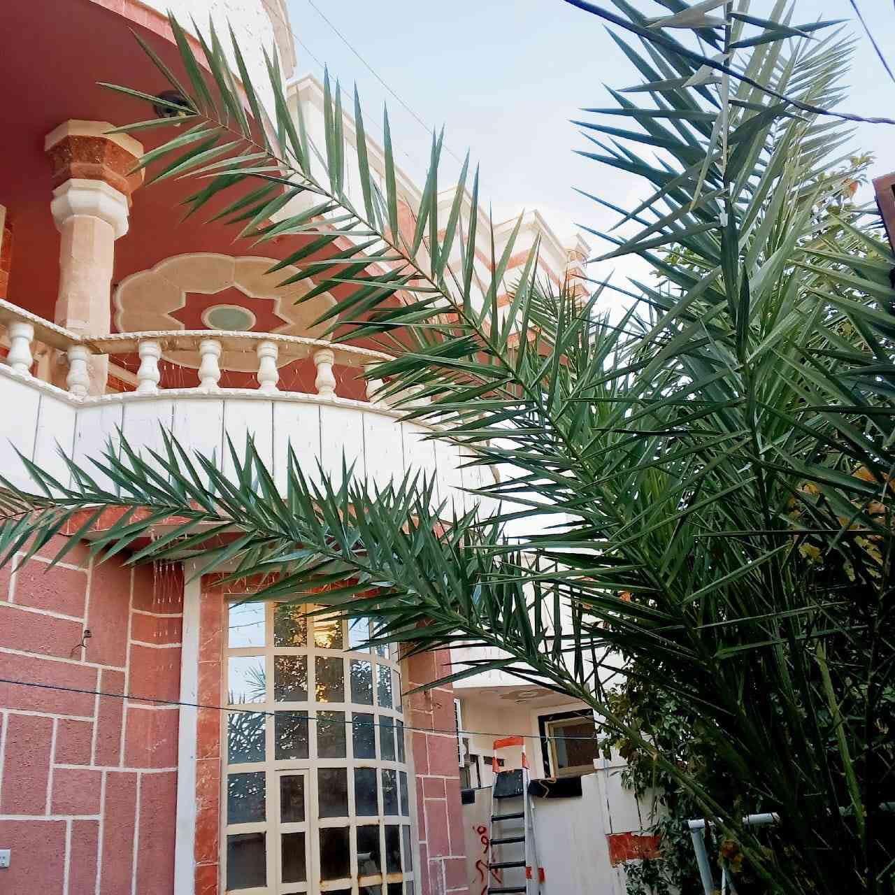 دار للبيع طابقين نهاية الصوفيه قرب منطقة الزراعه او قرب ساحت الاحتفالات
استقبال ومطبخ حار بارد وغرفتين صحيات داخليه وخارجية
الطابق الثاني غرفتين وصالة سطح بلكونات

مساحه ٢٥٦م
طابو زراعي
بناء ٢٠١٨
بناء حجر الواجه تغليف حجر

السعر خاص
 
للاستفسار التواصل مكتب الجامعة التأميم ٣٠تموز الشارع العام الرئيسي نهاية الصعده على اليمين

*********** ابو سعد
***********
***********
