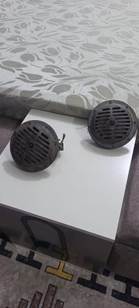 هورنات بوش جنح اصليات فول نعومه  ع فحص سعرهن 250 07715556814