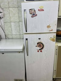 الحريه • بدون ضرر • جاهز للفحص