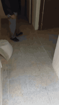 بيت للايجار مكان شارع المسبح  مكتب اسد بغداد للعقار  07711243560ابو حس...