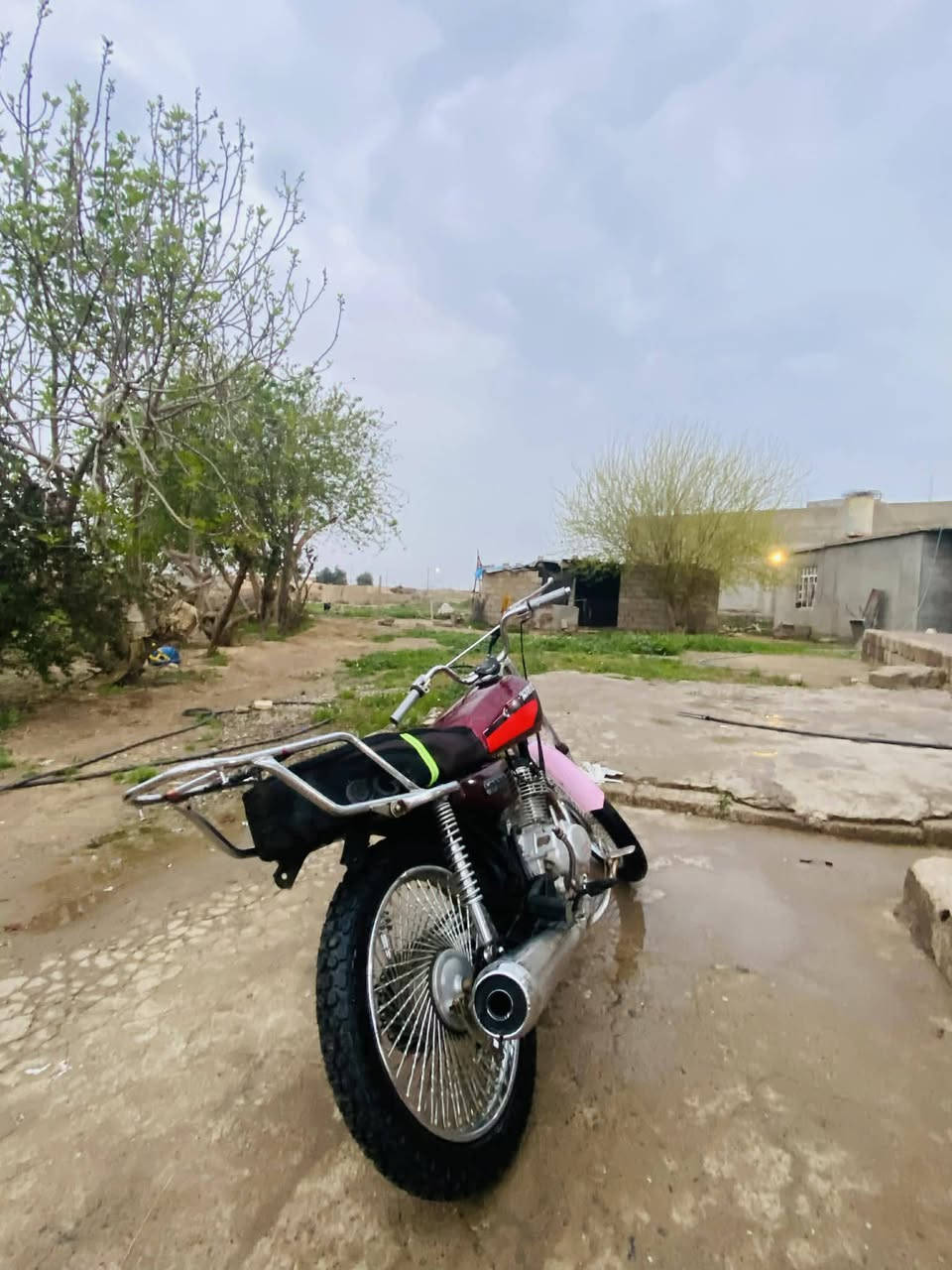 السلام عليكم تايكر 2020 معمر جديد الرقم ***********
