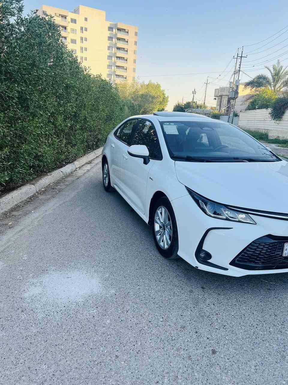 تويوتا كورلا 2025 هايبرد ماشية 30الف كيلو و رقم بغداد الجديد تحويل مباشر و
السيارة مواصفات 

اسود جلد اصلي 

سلايت فتحة 

بصمه 

رادار امامي كرسي كهربائي 

وتثبيت مسار و وكامرة خلفية و دشبول 

ديجتال و شاشة كبيرة و اوتو هولد وهاند بريك لمس وبعد هواي مواصفات

السيارة مكفولة كفالة وابيع شرط السونار و

السيارة مفحوصة سونار موجود سيارة جديد

و بيه مجال حك الجية ومكاني بغداد ورقمي 

للاتصال او استفسار *********** سعر 155 بلديات
