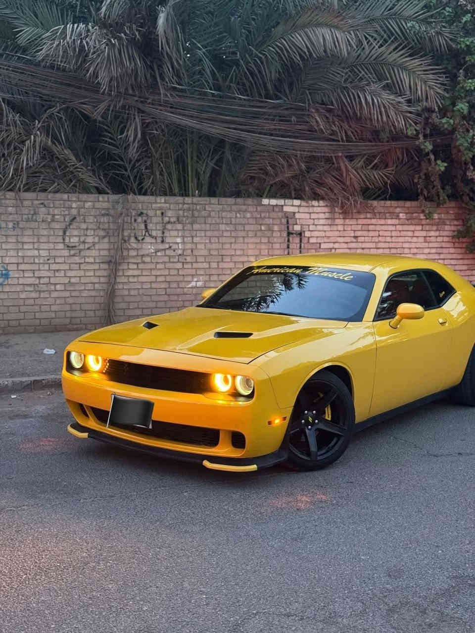 جالنجر 2017
لون مميز حادث موضح بالصورة ما واصل للشاصي والدواخل 
160$ 
مكلف بالنشر للاستفسار 
0774 708 0918 
بغداد
