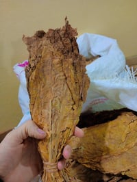 تتن زراعي • صنف درجة أولى • تلعفر دورت القلعه