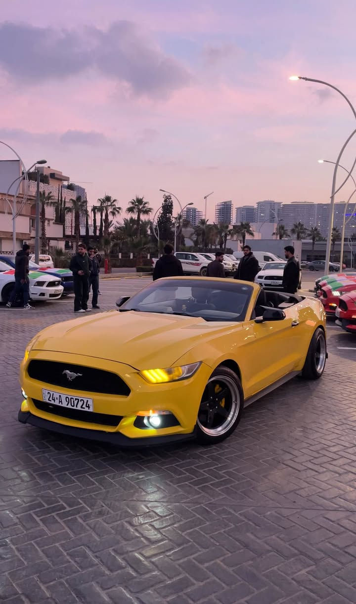 Mustang 2015 V6💛
٢ پارچە سبوخ
ئرباگ سوکان تەقیوە 
سەیارەکە سفری شەریکە نیڤایە
نرخی ١٥٥ گۆرینەوەش دەکەم لەگەڵ سەیارەیەک بەدڵم بێت أربيل, العراق


**إذا كنت صاحب هذا الإعلان وتريد حذفه لأي سبب، رجاءا أرسل رسالة إلى الدعم الفني**