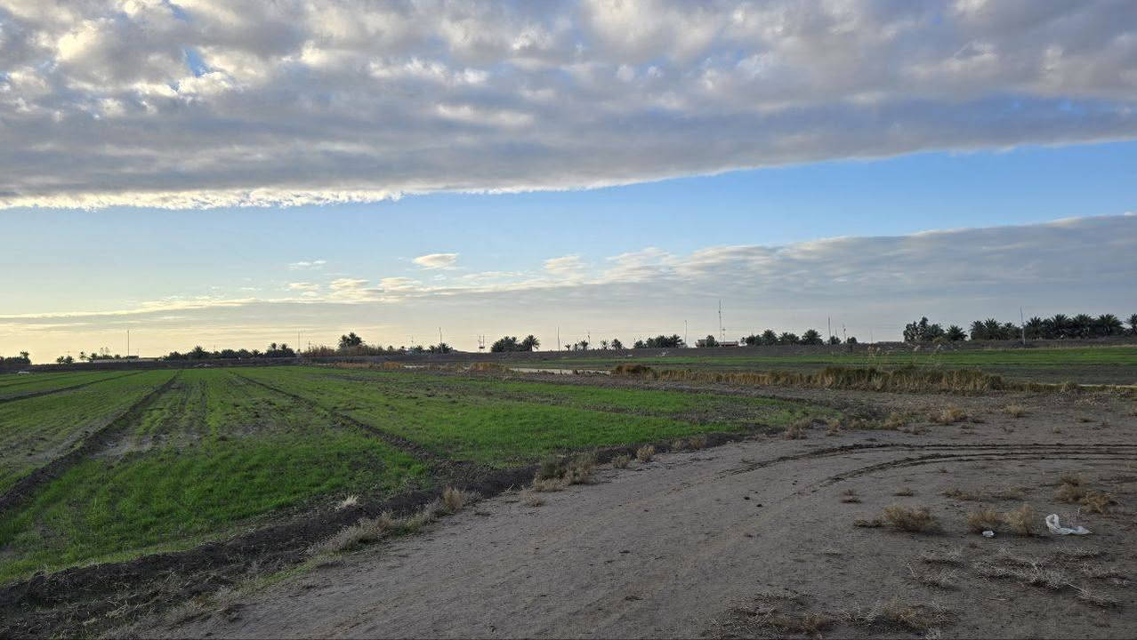 موقع مرتب تاجي ذراع دجله ✅
مقابيل سبع البور 
جايبلك دوانم حلوه ومرتبه سعر
الدونم الواحد 29 مليون وبي مجال واجهيه الدونم الواحد 50والزال 50
موقع مرتب وترفيهه لاصحاب الرفاهيه يبعدن عن التبليط
200 متر جنس الارض طابو زراعي سند 25
الخدمات ماء وكهرباء ومدراس تباع تقطيع حسب الطلب🧾 المساحه 15 دونم
فتح بيان ثاني يوم بأسم المشتري وضمان حق
المشتري ما اخذ منك ربع دينار اذا ما افتحلك بيان  بلتسجيل العقاري للاستفسار *********** واتساب
وتساب  ***********
