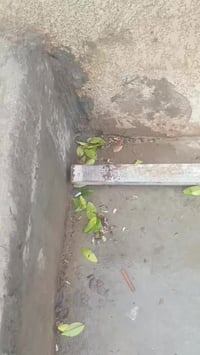 من رخصت مدير الكروب دنگة مربعة الطول ٦ والثخن مليم ونص  07738640624