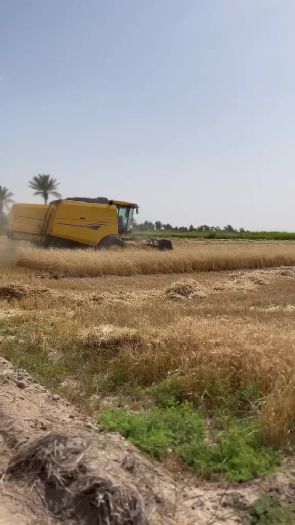 السلام عليكم 
ارض زراعيه سند ٢٥ 
مساحه الارض ١١ونص دونم 
بيها حصه ماء 
وثنين نحالات 
ونخل نوع جيد جدآ الارض تصلح لزراعه 
وتصلح لسكن مجاور شركه الابقار  
سعر الدونم 8 مليون بدون عمله 
للاستفسار اكثر اتصل على الرقم التالي 
***********

