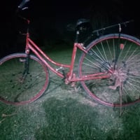 عجلة 27 • باسكل • للبيع